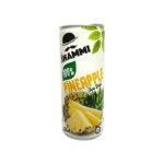 Mr Shammi 100% Pineapple Juice 250ml-(8936121113874)