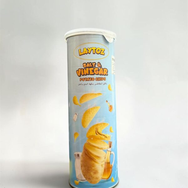 Laytoz Salt & Vinegar Potato Chips 100gm-(6975478926517)
